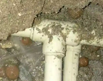 金坛测漏水多少钱