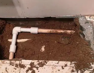 金坛测漏水哪家好