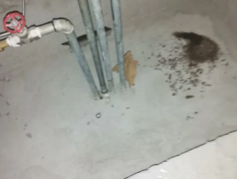 金坛卫生间测漏水价格明细